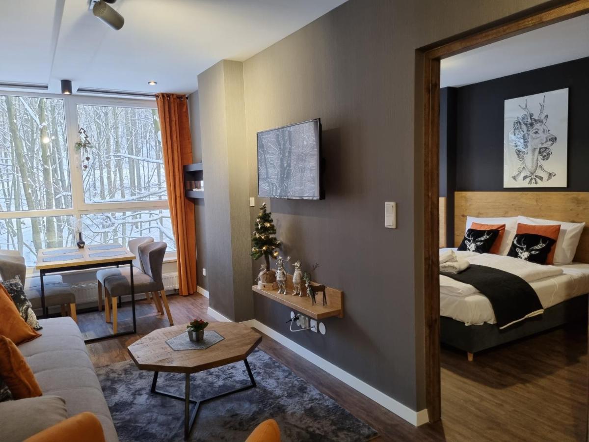 Apartament Spa 10 Resort Kozubnik Blisko Szczyrk - 5D Apartments Porąbka Εξωτερικό φωτογραφία